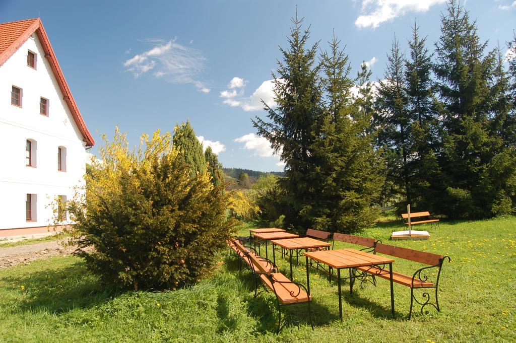 Rezydencja Terra Sudeta Miedzylesie (Silesia) Exterior photo