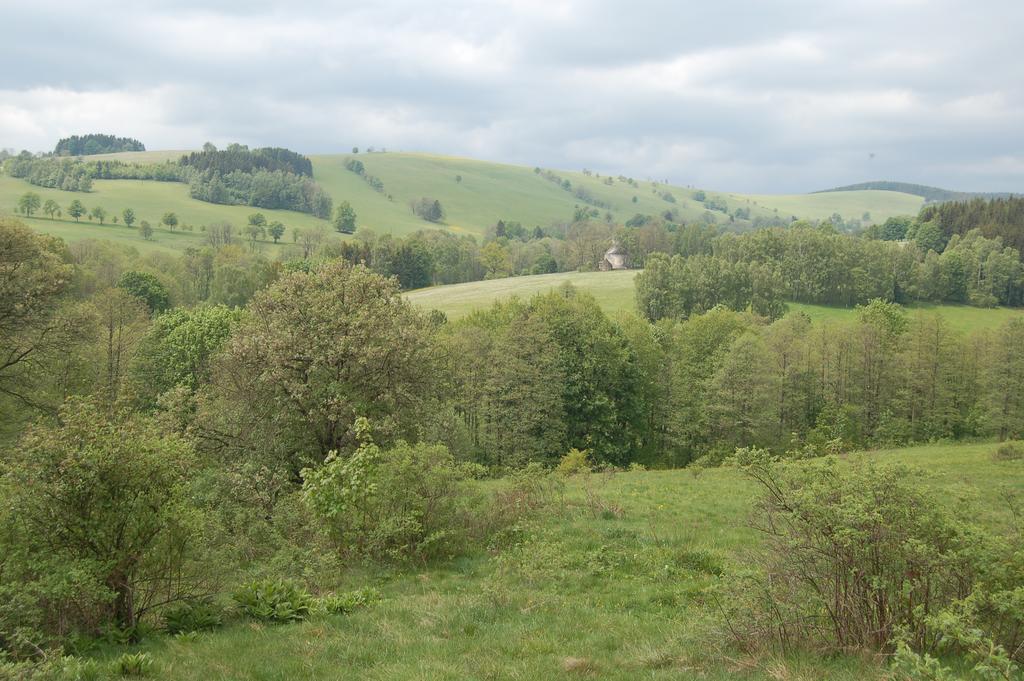 Rezydencja Terra Sudeta Miedzylesie (Silesia) Exterior photo