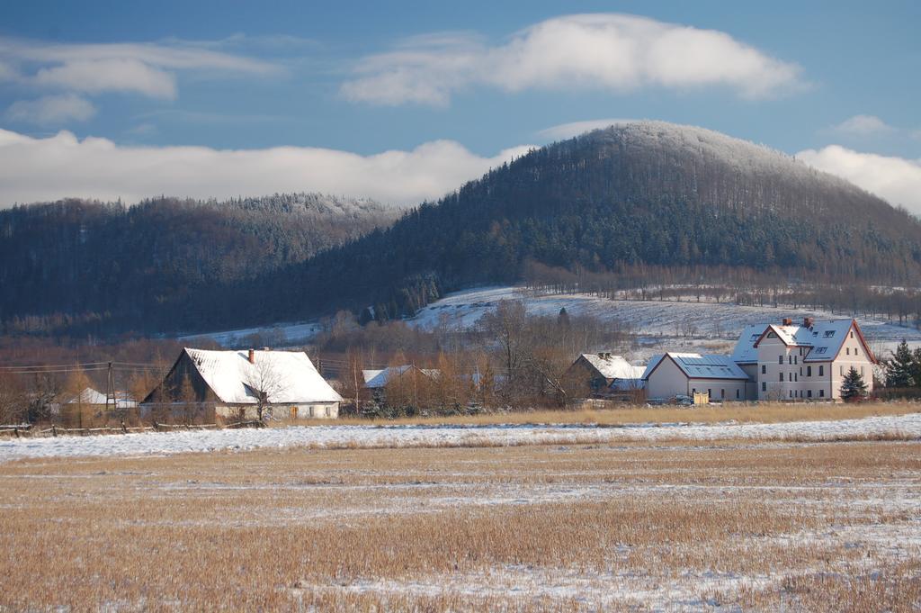Rezydencja Terra Sudeta Miedzylesie (Silesia) Exterior photo