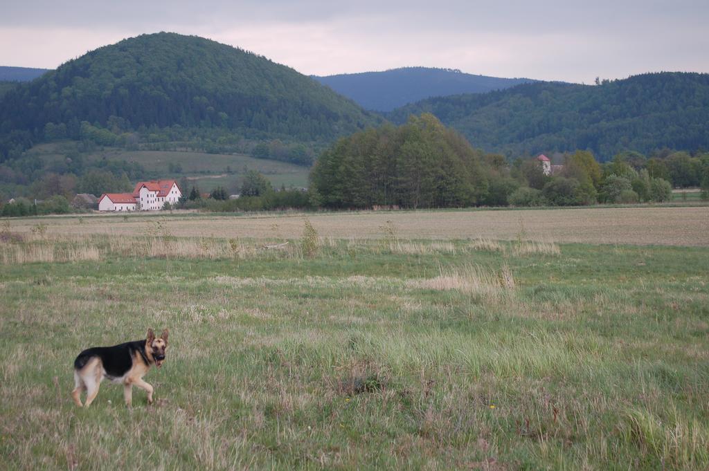 Rezydencja Terra Sudeta Miedzylesie (Silesia) Exterior photo