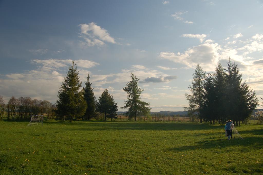 Rezydencja Terra Sudeta Miedzylesie (Silesia) Exterior photo