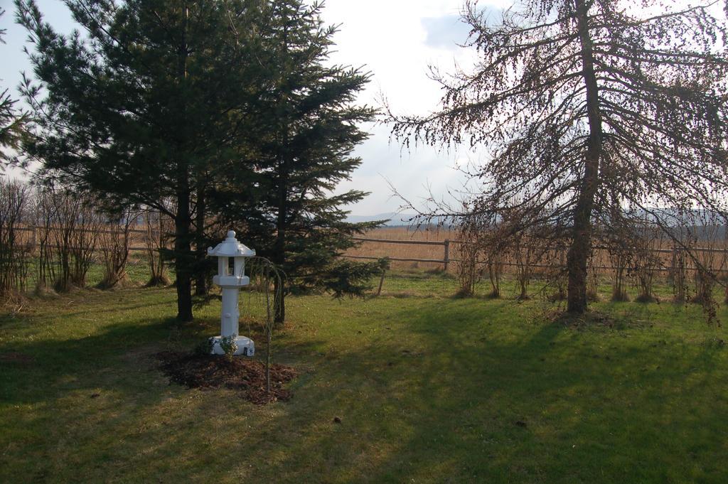 Rezydencja Terra Sudeta Miedzylesie (Silesia) Exterior photo