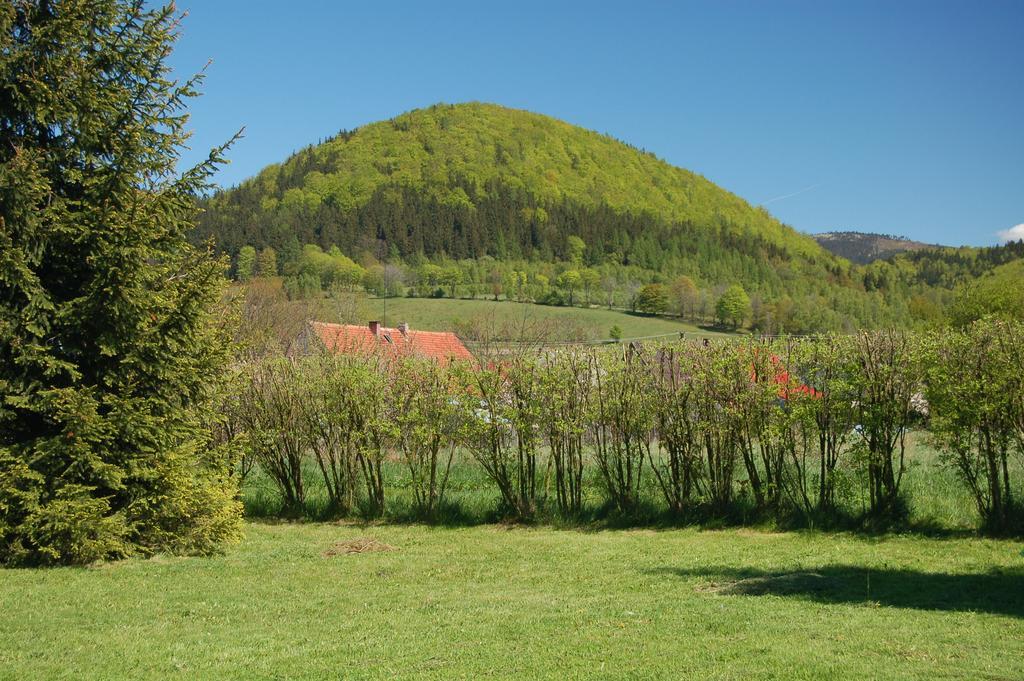 Rezydencja Terra Sudeta Miedzylesie (Silesia) Exterior photo