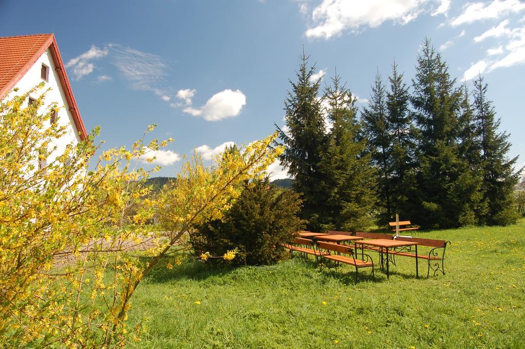 Rezydencja Terra Sudeta Miedzylesie (Silesia) Exterior photo