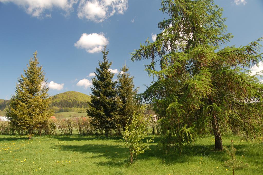 Rezydencja Terra Sudeta Miedzylesie (Silesia) Exterior photo