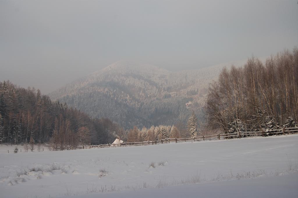 Rezydencja Terra Sudeta Miedzylesie (Silesia) Exterior photo